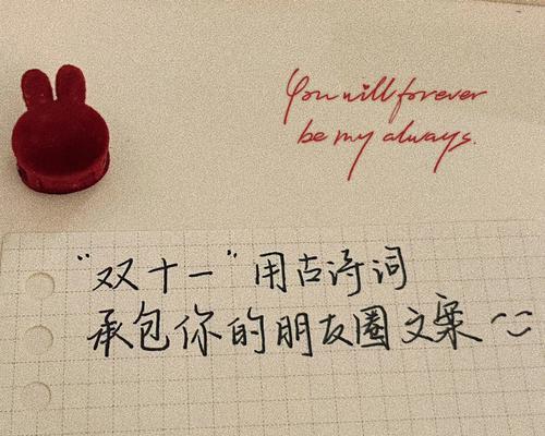 双十一过生日发个说说怎么说（“双十一生日，爱在购物中绽放”）