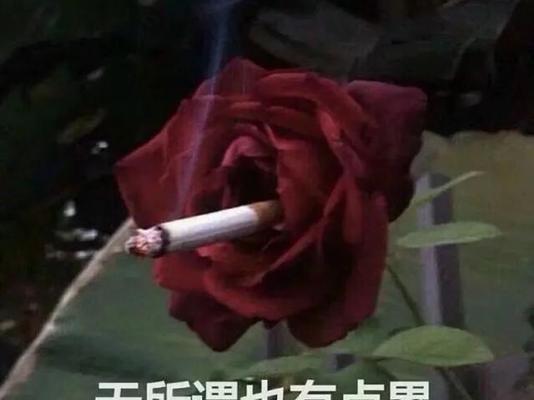 刷爆朋友圈熬夜短句 一段话（熬夜的萤火虫们）