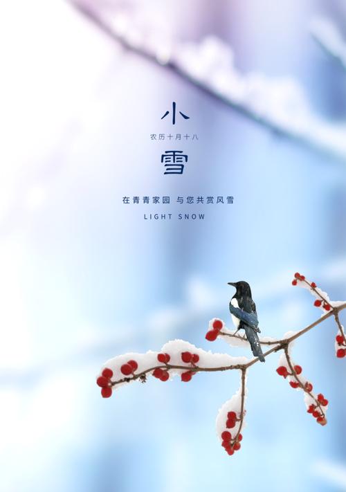 小雪适合发朋友圈的句子（小雪，愿你如雪花般纯净美好）