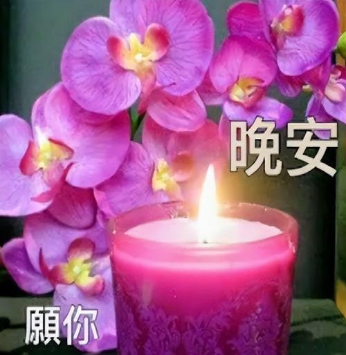 关于适合晚上发的说说（草木沉香梦，月华浸银盆）