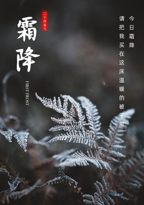 霜降的说说心情短语人生感悟（霜降初雪，唯美短句为你写）