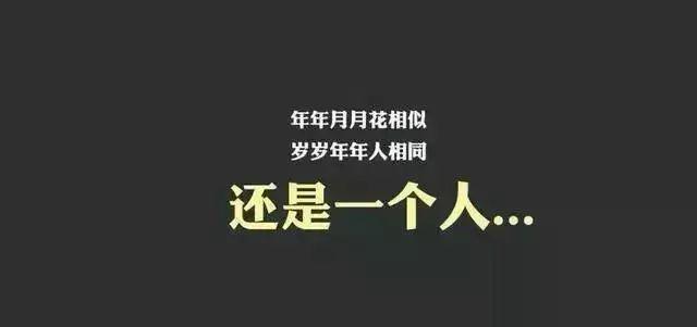 有关2024年的聚会说说（相遇在2023年终聚会）