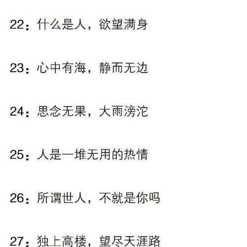 2028最后一个月的说说（用文字记录2024年最后一个月的美好瞬间）