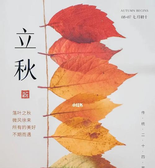 适合立秋发的朋友圈的句子（秋风扫落叶）