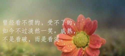 有关适合发朋友圈的句子的句子有哪些（漫步于十二月，梦回温暖）