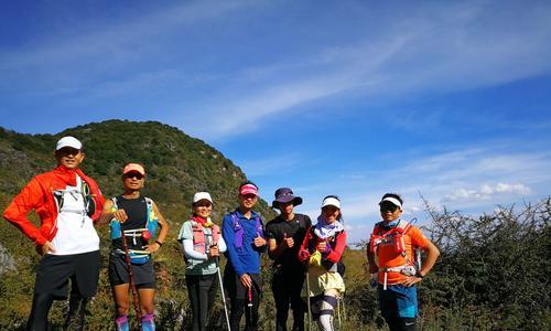 人生如登山的经典语录（攀登人生，只因不懈）