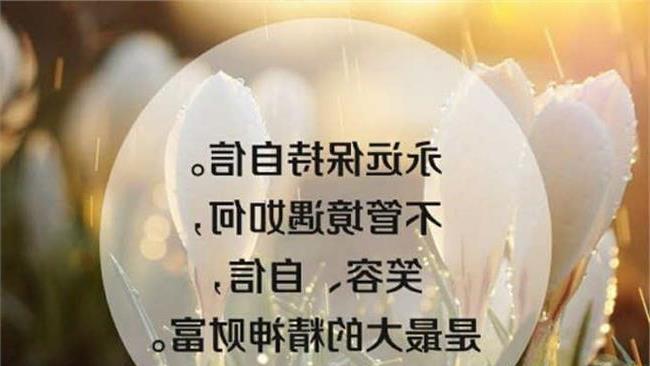 有关人生经典句子的短句英语（人生经典句子）