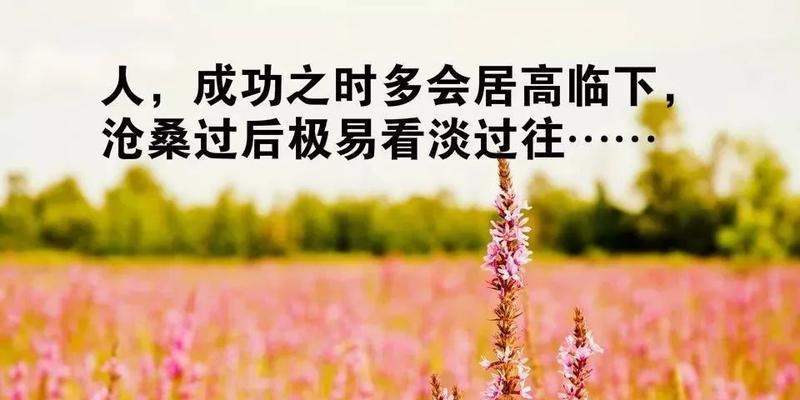 人生感悟哲理的句子（用心感悟生命，用智创造未来）