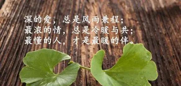 走心的人生感悟心情随笔短句（用心感受生活，用爱迎接未来）