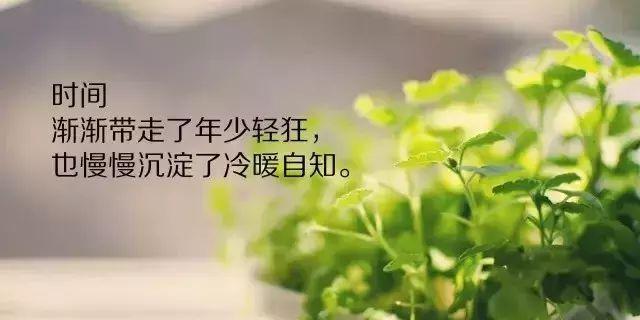 关于人生感悟的优美句子（寻找生命的意义）