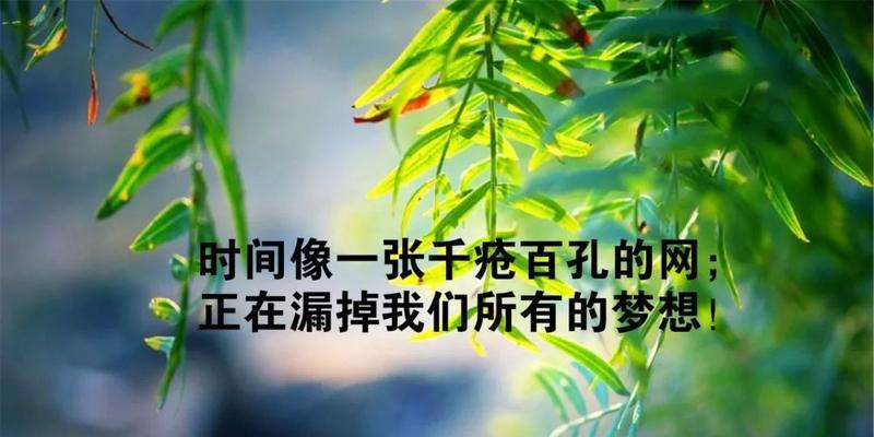 摘抄人生感悟结尾的一段话（深入心灵，领悟生命真谛）