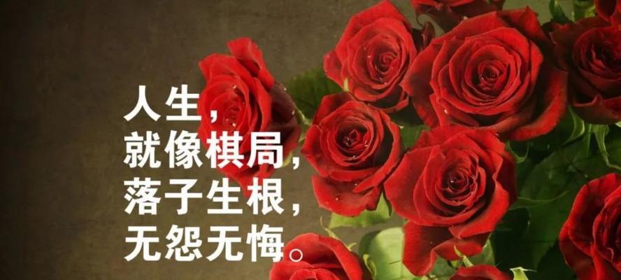 关于人生哲理感悟的句子（人生感悟：寻找内心的真正幸福）