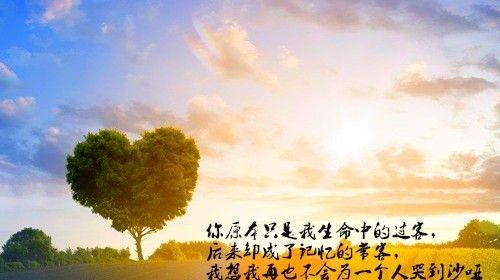 有关人生成功与积淀的名言的句子摘抄（生动、优美。）