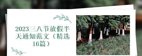 三八妇女节佳句（唤醒女性力量——2024三八妇女节）