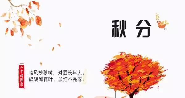 秋分节气寄语（诉说秋日美丽，祝福新时代）