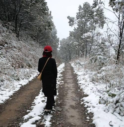 大雪语句（大雪纷飞，唯美短句让你感受冬日浪漫）