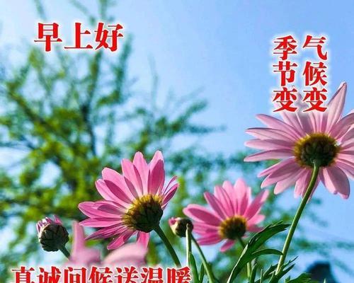 早安幽默问候语大全（幽默早安问候语，让一天更美好）