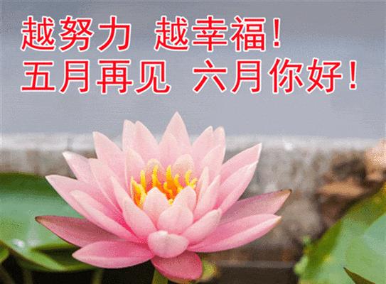 你好六月句子（《六月你好》——迎接夏日的芬芳）