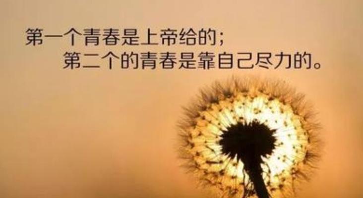 100句励志的感悟人生的经典句子（璀璨的人生）