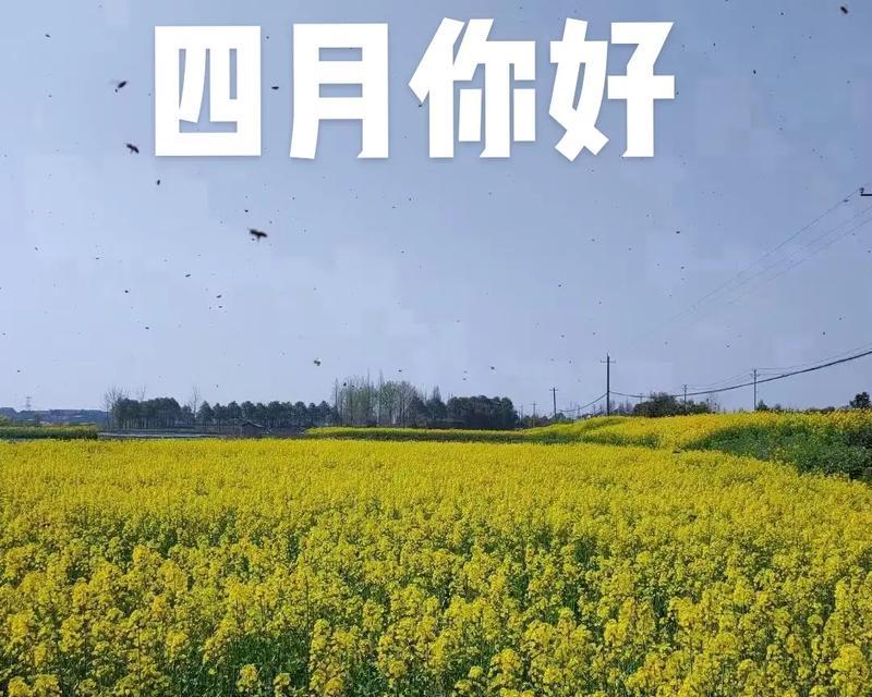 （三月再见，四月你好——春天的正能量）