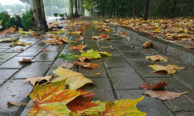 一场秋雨一场凉发朋友圈怎么说（秋雨一场凉，唯美短句写梦）