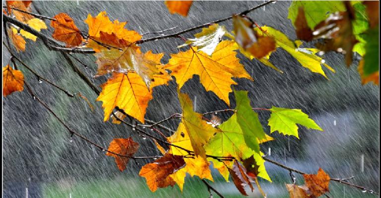 一场秋雨一场凉发朋友圈怎么说（秋雨一场凉，唯美短句写梦）