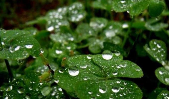 一场秋雨一场凉发朋友圈怎么说（秋雨一场凉，唯美短句写梦）