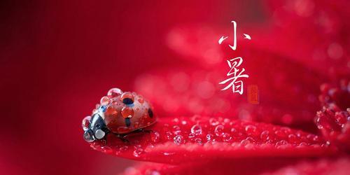 小暑祝福短信_小暑养生短信_小暑祝福语（小暑简短祝福语）