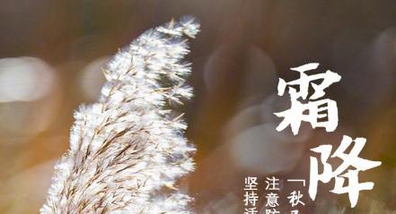 霜降怎么发朋友祝福的说说（霜降时节，送你唯美问候）