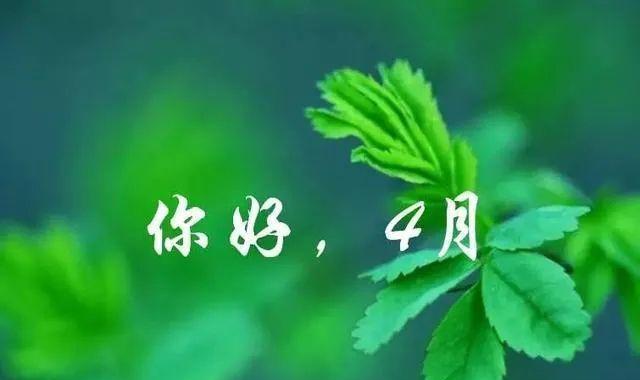 三月你好的句子怎么说（邂逅唯美，迈入新世界）