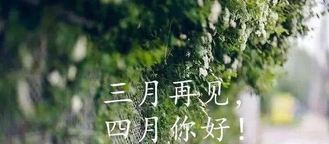 三月你好的句子怎么说（《三月你好）