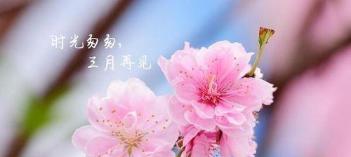 三月你好的句子怎么说（《三月你好）