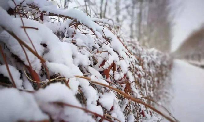 有关入冬第一场雪怎么发朋友圈说说的好句子（冬天的童话世界）