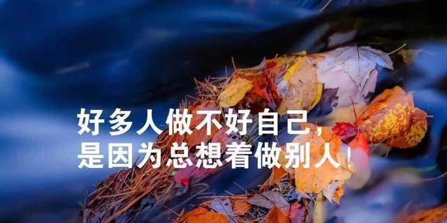 没有泪水是怎么回事（无泪人生）