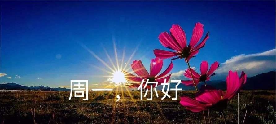 23生日当天怎么发朋友圈（生日祝福|2024生日说说句子好句）