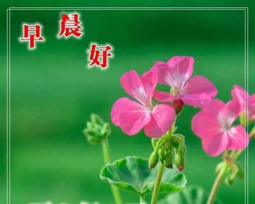 秋分怎么发朋友圈（秋分微信群发）