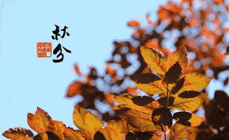 秋分节气怎么发朋友圈（秋分节气朋友圈经典说说）