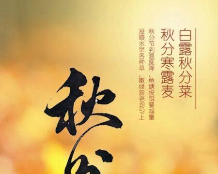 秋分节气怎么发朋友圈（秋分节气唯美祝福说说）