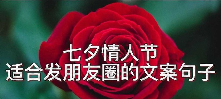 七夕怎么发朋友圈文字（以七夕怎么低调发朋友圈）