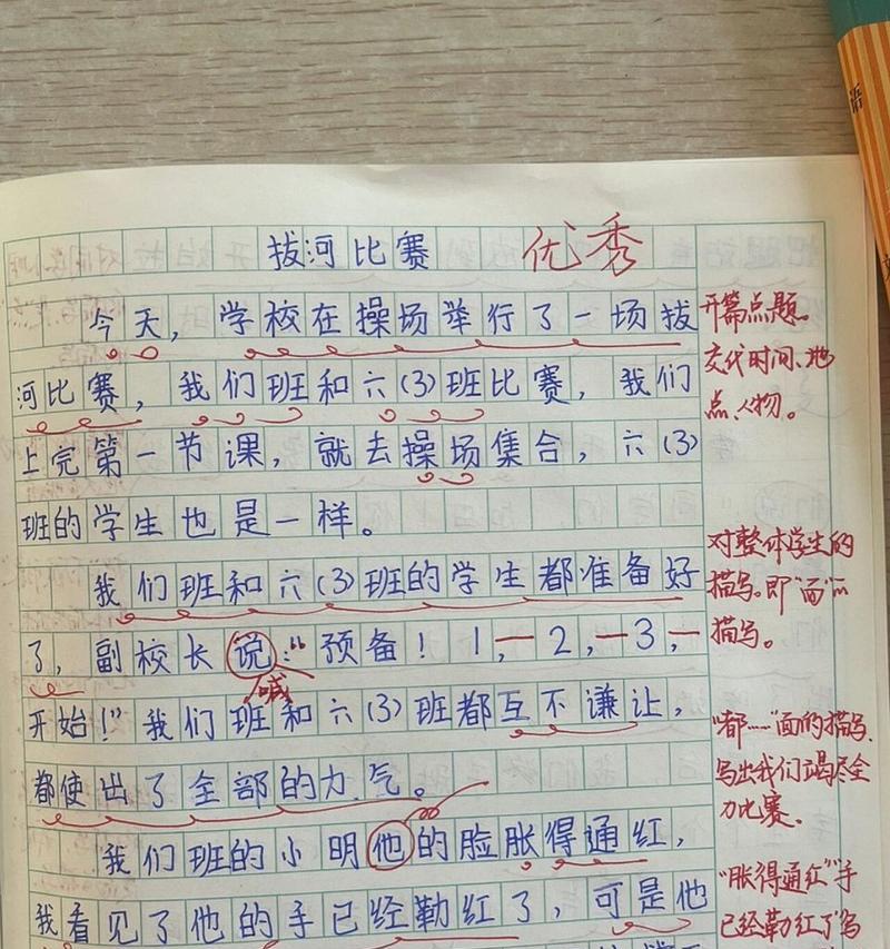 以多彩的活动为主题的作文怎么写（《热闹非凡的活动季》）