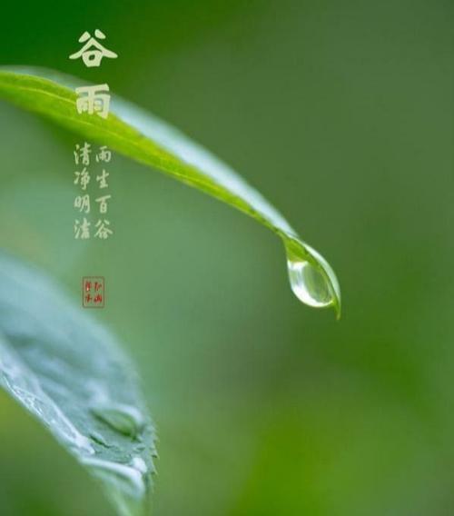 描写谷雨季节的句子（描绘春天谷雨美景）