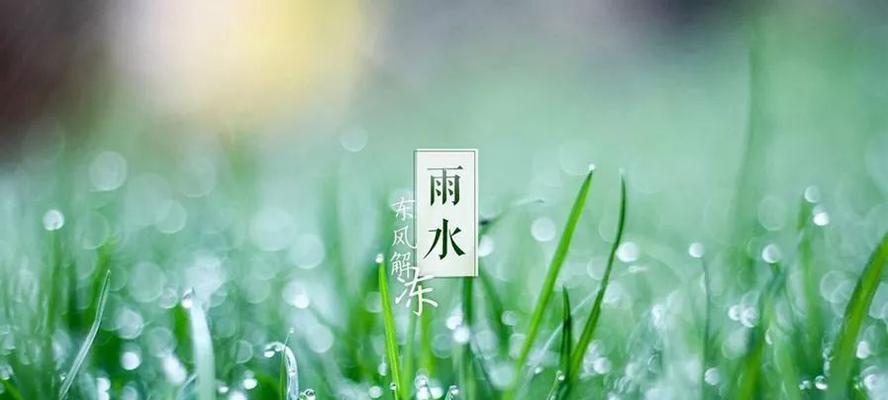 2024年雨水节气的含义是什么意思（雨水时节，润泽春天）