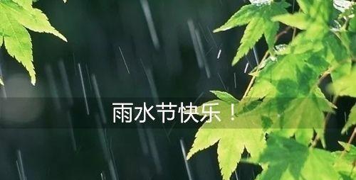 2024年雨水节气的含义是什么意思（雨水时节，润泽春天）