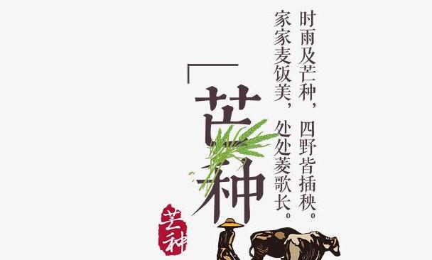 对芒种节气的唯美句子（《芒种祝福》）