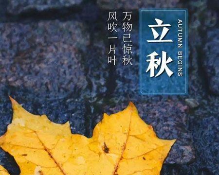 关于立秋怎么发朋友圈（立秋时节，唯美句子温馨传递）