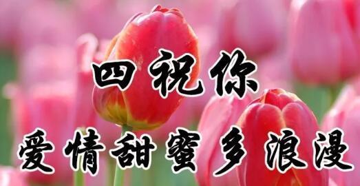 重阳节的话语感慨怎么说（2024重阳节，登高祈福）