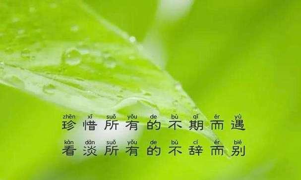 看淡爱情是什么意思（解放心灵，感受真正的幸福）