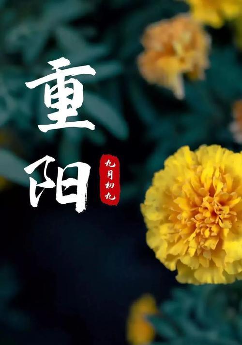 九九重阳节怎么发祝福语（重阳祝福语集锦）