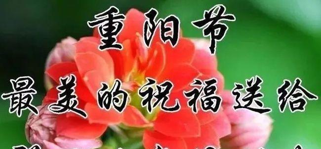 九九重阳节怎么发祝福语（重阳祝福语集锦）