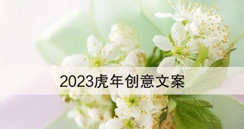 跨年元旦怎么发朋友圈（迎接2024，元旦跨年朋友圈好句分享）